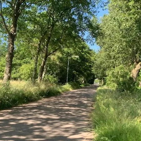 Domek alpejski In Wiringherlant Near The Coast